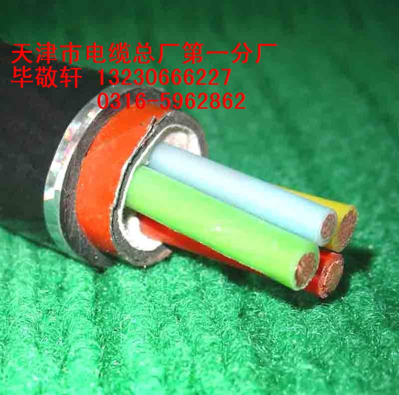電話電纜，電話通信電纜，通訊電纜HYA