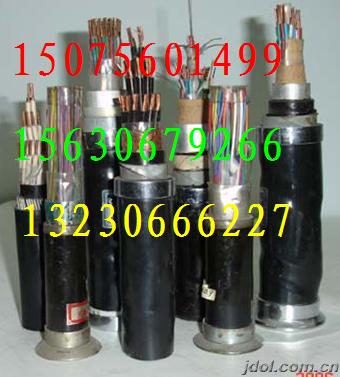 F·̖|-PTYA23-PTYA22-30C-33C-3