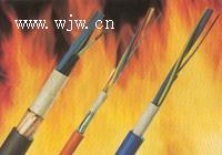 NH-KVVP；耐火控制電纜；6*2*1.0