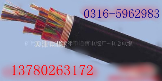 HYAT 20X2X0。5；充油通信電纜HYAT 20X2X0。4