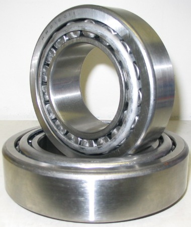 (yng)MS INAS SL18 3036