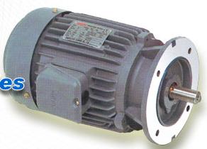 現(xiàn)貨供應(yīng)東元馬達(dá) 東元電機(jī)