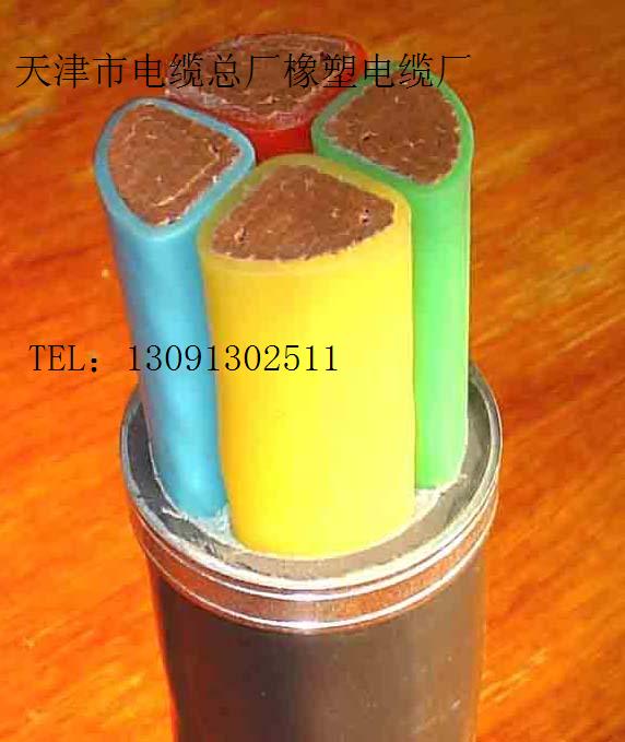 專業(yè)生產控制電纜礦用控制電纜KVV.MKVV型號規(guī)格齊全，2*1.