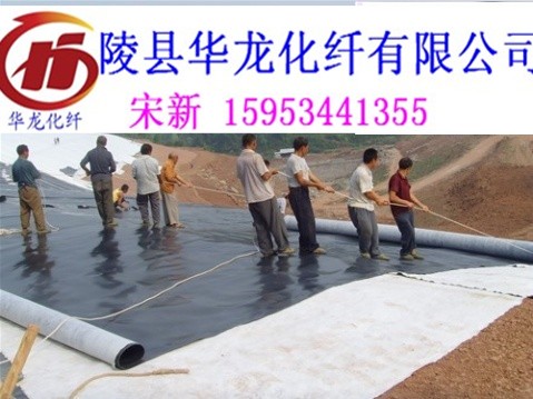 0.5毫米防滲膜廠家 宋新