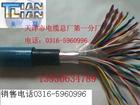 HYAT23電話線 2對(duì)3對(duì)4對(duì)5對(duì)6對(duì)7對(duì)8對(duì)9對(duì)10對(duì)
