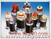 計(jì)算機(jī)控制電纜DJYPVP-計(jì)算機(jī)屏蔽電纜DJYPVP