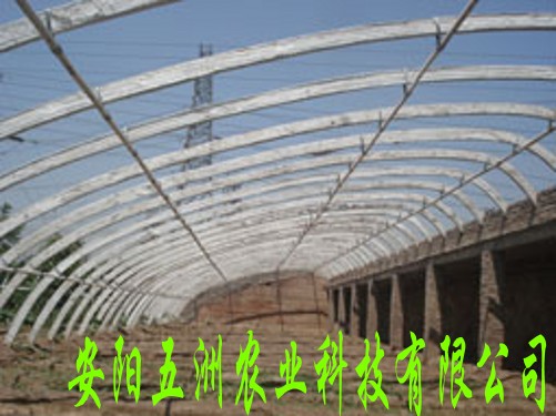 溫室工程技術/建設/日光溫室大棚/養(yǎng)殖花