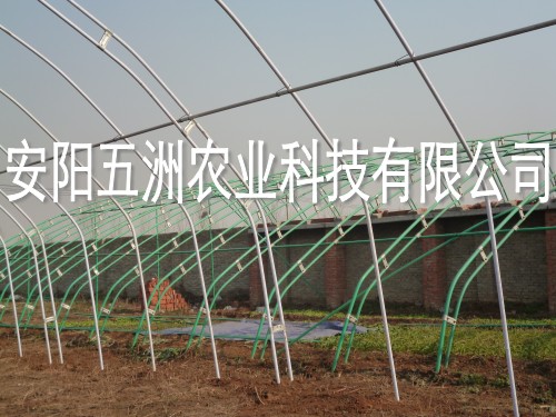 無(wú)支柱蔬菜大棚建設(shè) 復(fù)合材料無(wú)支柱溫室大棚骨架機(jī)