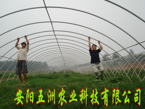 現(xiàn)代化大棚骨架機 生態(tài)大棚骨架 溫室大棚技術(shù)圖