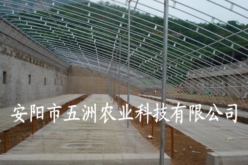 鋼管溫室大棚 鋼管溫室大棚骨架 骨架機