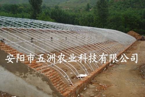 鋼管溫室大棚支架 鋼管溫室大棚支架機
