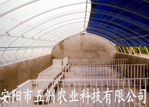 䓹ܴS B(yng)ֳ䓹ܴ (yu)|䓹ܽ