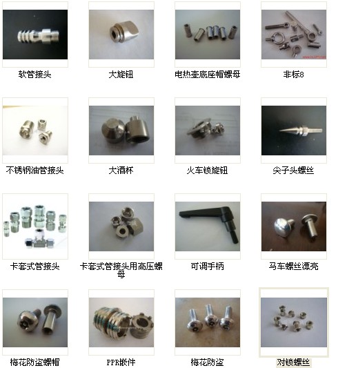供應(yīng)不銹鋼自攻螺絲 不銹鋼非標自攻螺絲 不銹鋼木螺絲定做 溫州螺絲 溫州螺栓