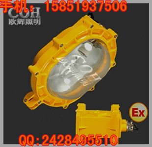 BFE8120 內(nèi)場防爆應(yīng)急燈  防爆泛光燈 內(nèi)場防爆金鹵燈 長壽
