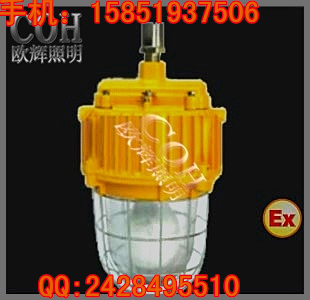 BPC8731 可瞬間熱啟動(dòng)的防水防爆無極燈  長(zhǎng)壽無極燈 防爆平