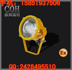 BTC8200_防爆投光燈 又名 防爆投射燈