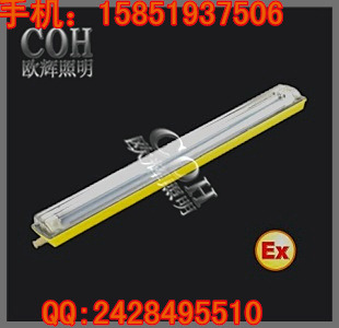 BCX6225/BCX6226粉塵防爆防腐單管熒光燈