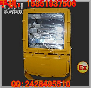 BFC8110 防爆泛光燈