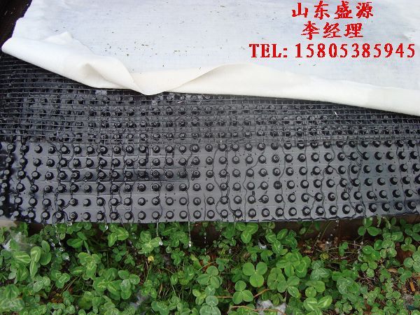 供【“塑料排水板施工?。?“排水板價(jià)格”】！應(yīng)