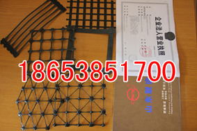 廣東土工格柵——————廣東土工格柵價(jià)格———————產(chǎn)品價(jià)格