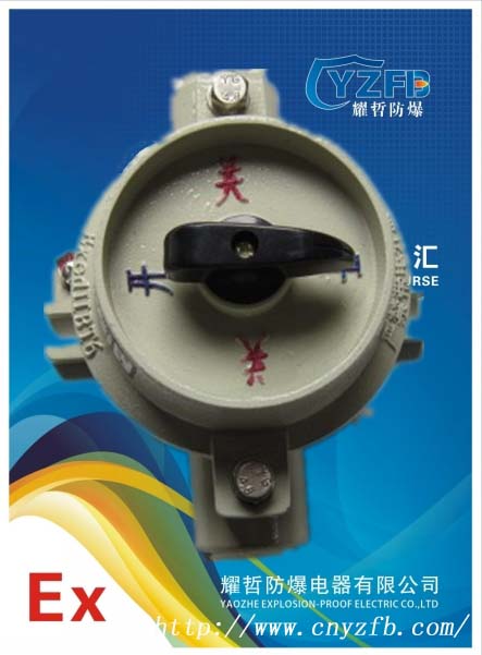 供應(yīng)山東、濟(jì)南、東營(yíng)、濰坊、濱州SW-10系列防爆照明開(kāi)關(guān)