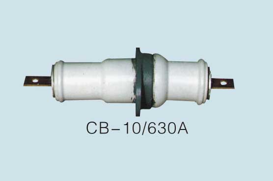 廠家CC-10、CWC-10/2000A穿墻套管《自產(chǎn)自銷》