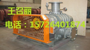 羅茨風(fēng)機(jī)型號 羅茨風(fēng)機(jī)原理 羅茨風(fēng)機(jī)性能