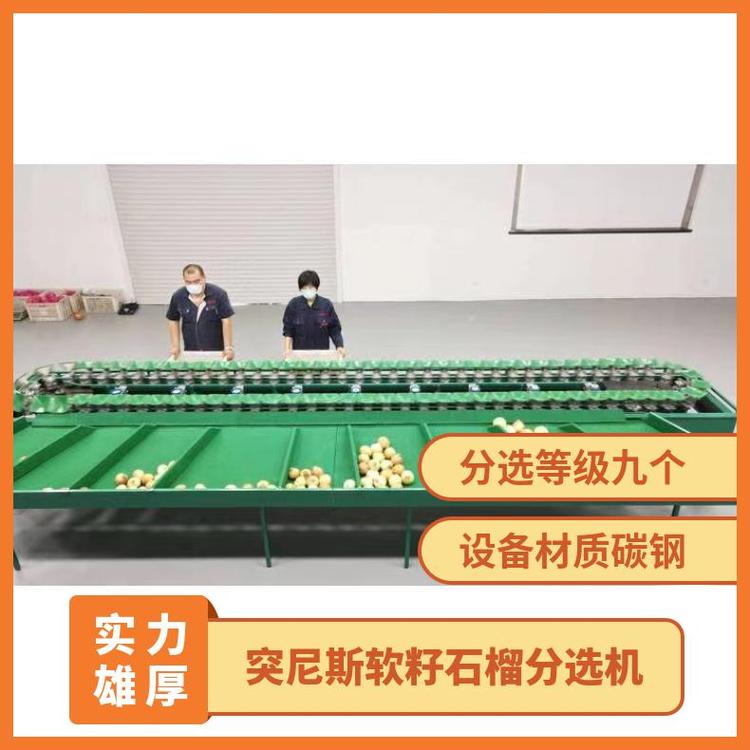 突尼斯軟籽石榴分選機，石榴選果必備石榴重量分揀機