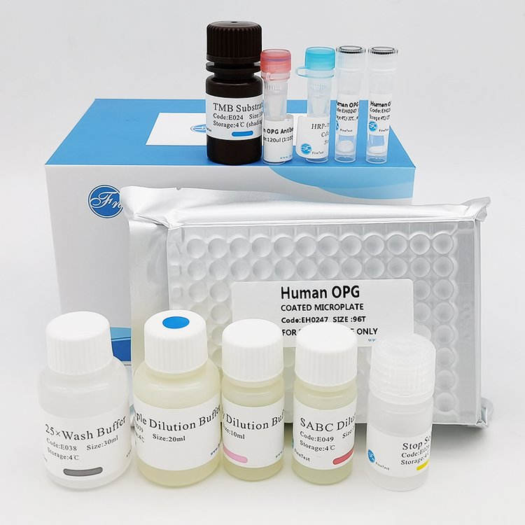 小鼠白介素8(IL-8)酶聯(lián)免疫吸附測(cè)定(elisa)試劑盒