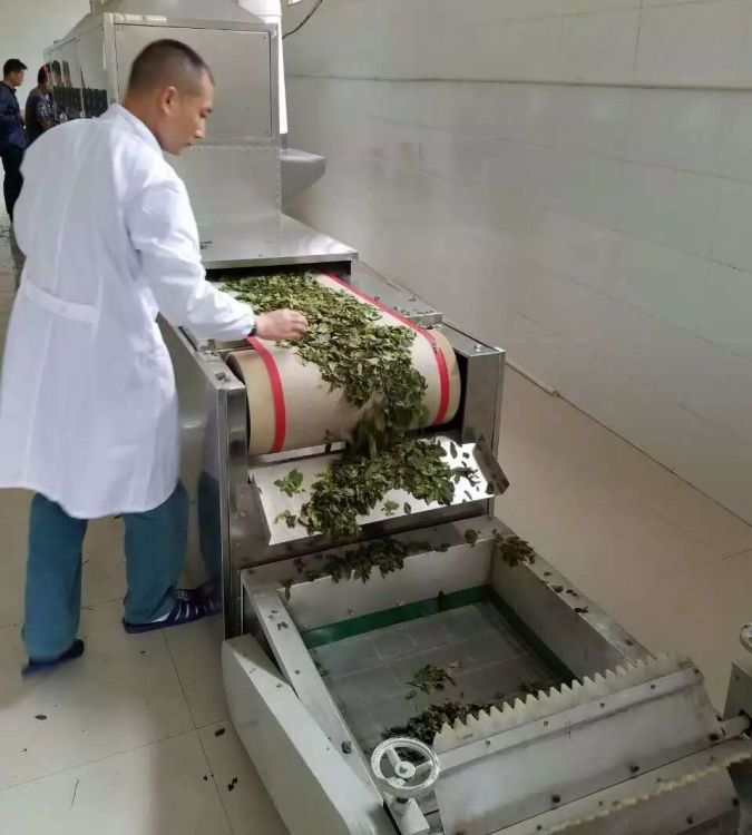 齊協(xié)茶葉微波殺青機型號：QX-20HM3可以用于毛尖、綠茶的連續(xù)殺青