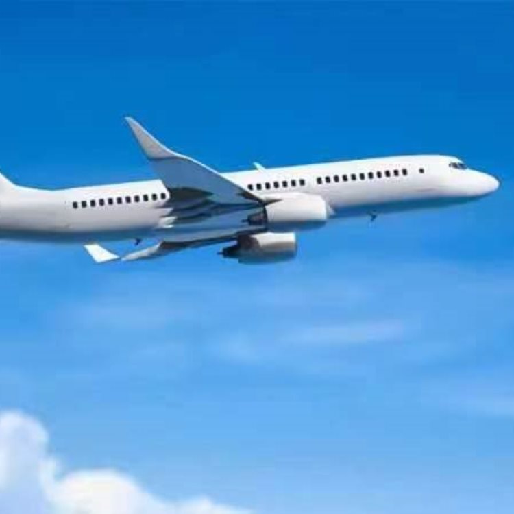 萊萬特航空專線航空運(yùn)輸支持定制實(shí)力雄厚