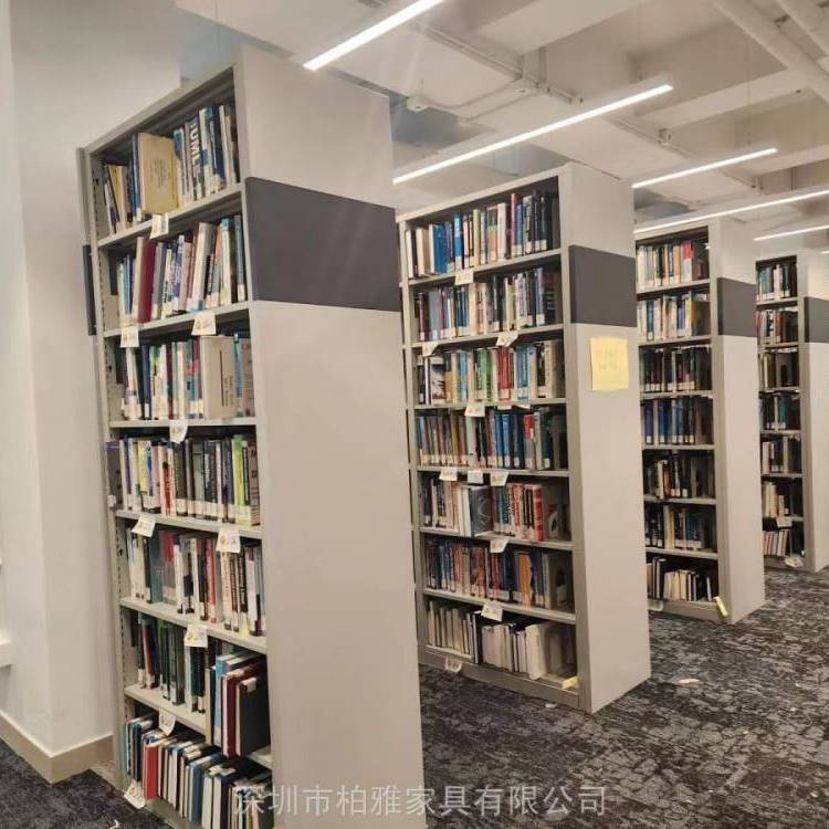 圖書館書架學校閱覽室書架鋼制書架資料架支持定做