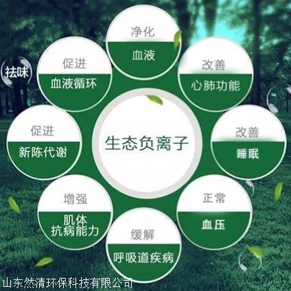 負(fù)離子是什么