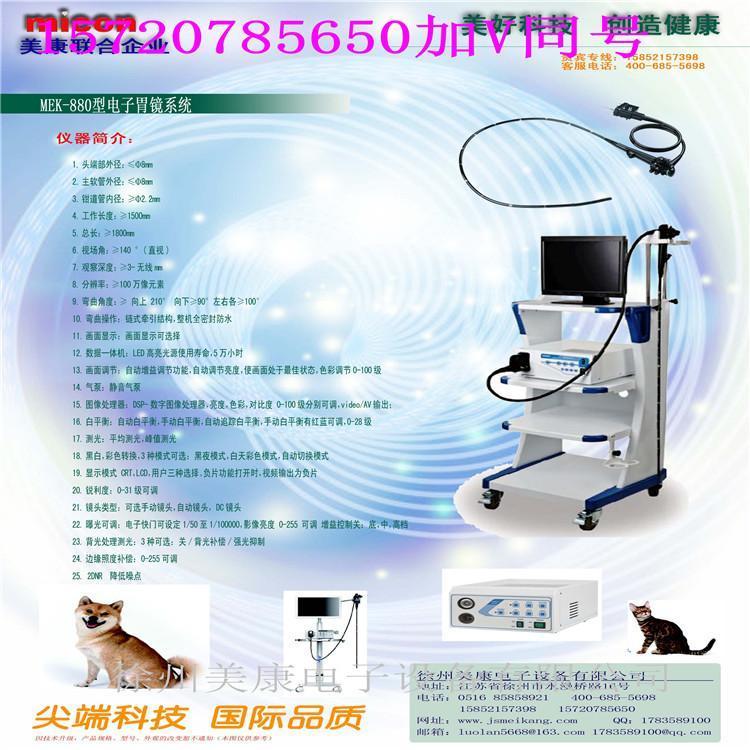 動物胃鏡寵物醫(yī)院用電子胃腸鏡出口便攜教學用腹腔內窺鏡
