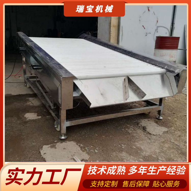 大蒜清洗除水擦干生產(chǎn)線黑蒜加工瀝水擦干機海綿棒擦干設備