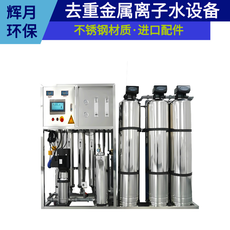 雙級純化水設(shè)備低電導(dǎo)率1~10μs\/cm食品生物凈水機輝月環(huán)保廠家