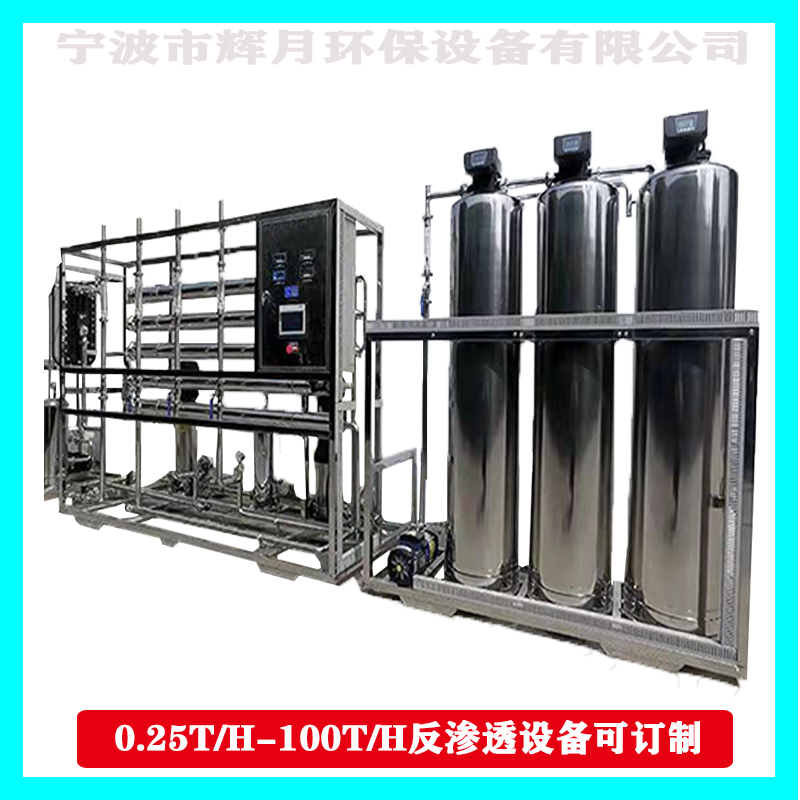 輝月工業(yè)凈水機(jī)生物化學(xué)高純水處理雙級(jí)RO反滲透設(shè)備訂制