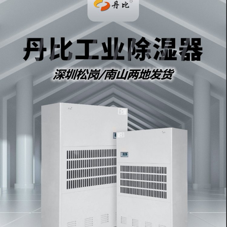 衣服鞋子皮包倉(cāng)庫(kù)防潮設(shè)備丹比工業(yè)除濕器CFZ-20別墅除濕機(jī)