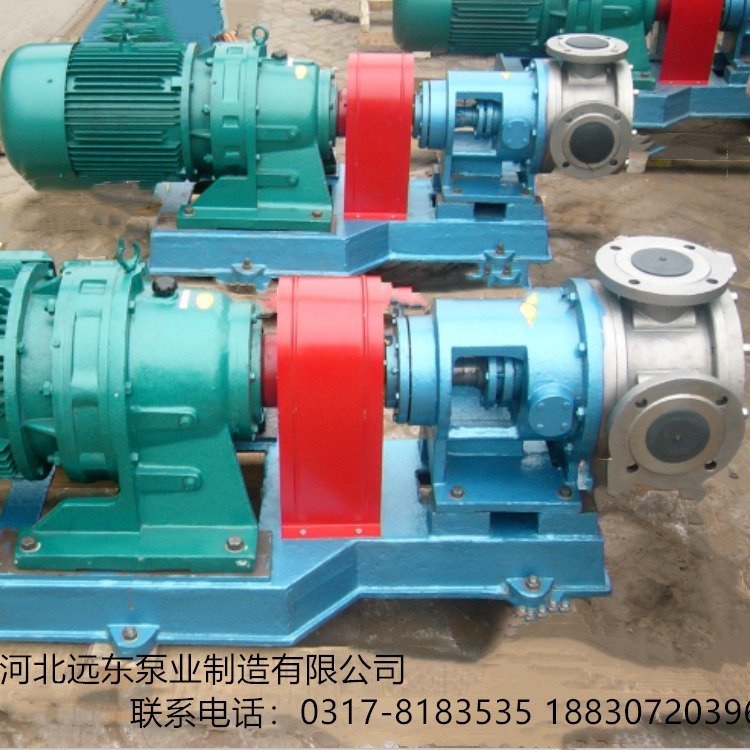 瀝青輸送泵NYP220B-RU-T1-W11高粘度泵無(wú)脈動(dòng)振動(dòng)小噪音小粘膠泵-泊遠(yuǎn)東