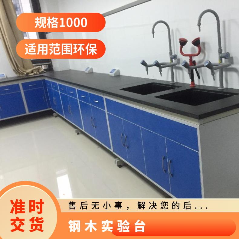 鋼木實(shí)驗(yàn)臺化驗(yàn)室家具廠家氣瓶柜防爆安全柜思必得speed