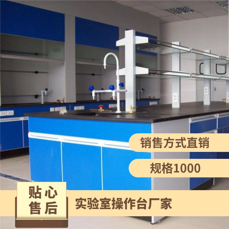 實驗室操作臺廠家學(xué)校鋼木實驗臺操作邊臺配邊臺定制思必得speed