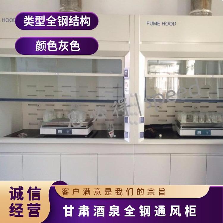 全鋼通風(fēng)柜物理化學(xué)試驗(yàn)通風(fēng)櫥落地型柜子排風(fēng)設(shè)備思必得speed