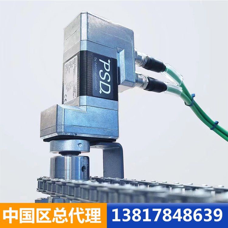 德國(guó)Halstrup-Walcher中國(guó)區(qū)總代理伺服定位電機(jī)系統(tǒng)YHPSD428\/SFL