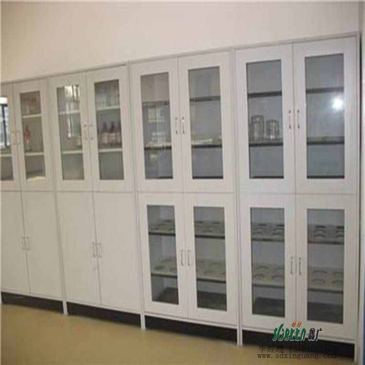 供應(yīng)濰坊實驗室家具|濰坊天平臺器皿柜|濰坊通風櫥氣瓶柜1026