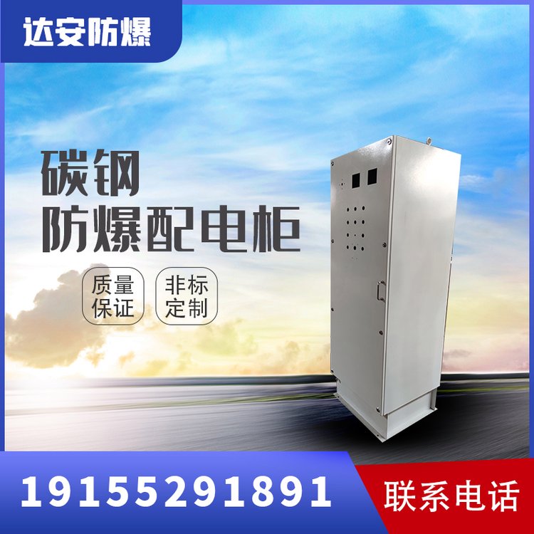 碳鋼防爆配電箱防塵防水廠家可定制IP65防護(hù)等級(jí)達(dá)安