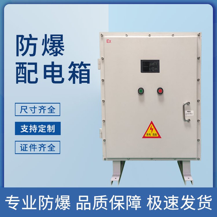 防塵防爆儀表保溫箱隔爆不銹鋼機(jī)柜配電箱成套設(shè)計(jì)廠(chǎng)家可定制
