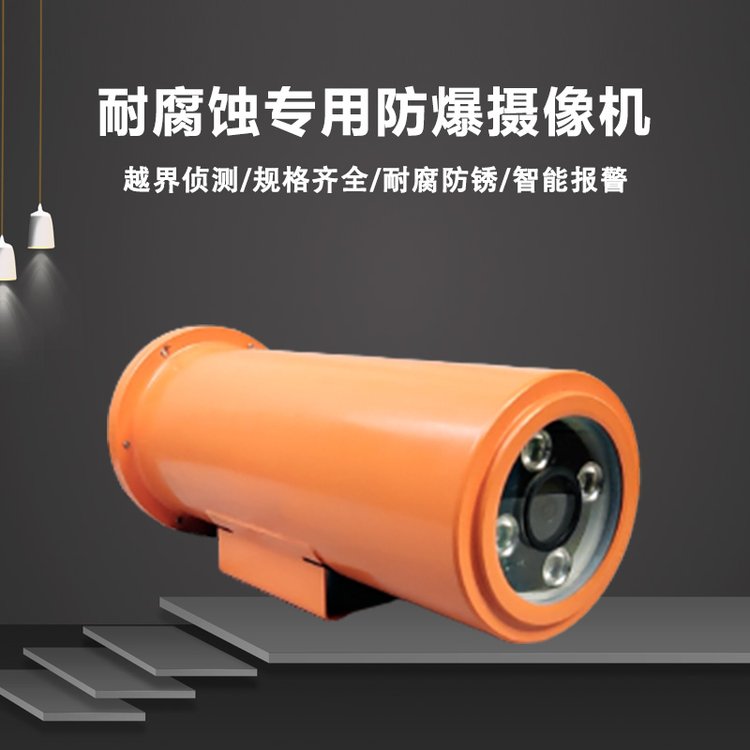 ?？荡笕A防爆防腐攝像頭不銹鋼監(jiān)控護(hù)罩200w耐高溫機(jī)芯