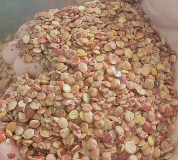 中藥酸棗仁脫皮機(jī)，專業(yè)的酸棗仁脫皮機(jī)，幫您省時省力提高效率