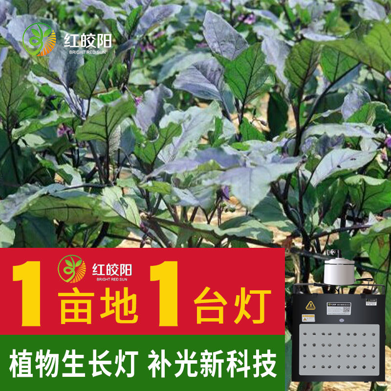 【茄子專用燈】大棚植物激光補(bǔ)光燈紅皎陽(yáng)茄子生長(zhǎng)補(bǔ)光飽光節(jié)能