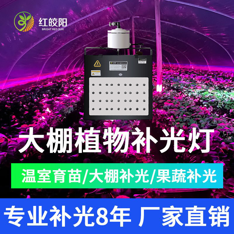 【全光譜大棚補光燈】草莓補光紅皎陽激智能光LED溫室提前上市
